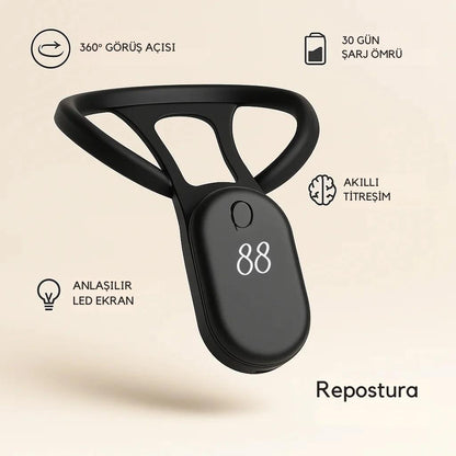Repostura